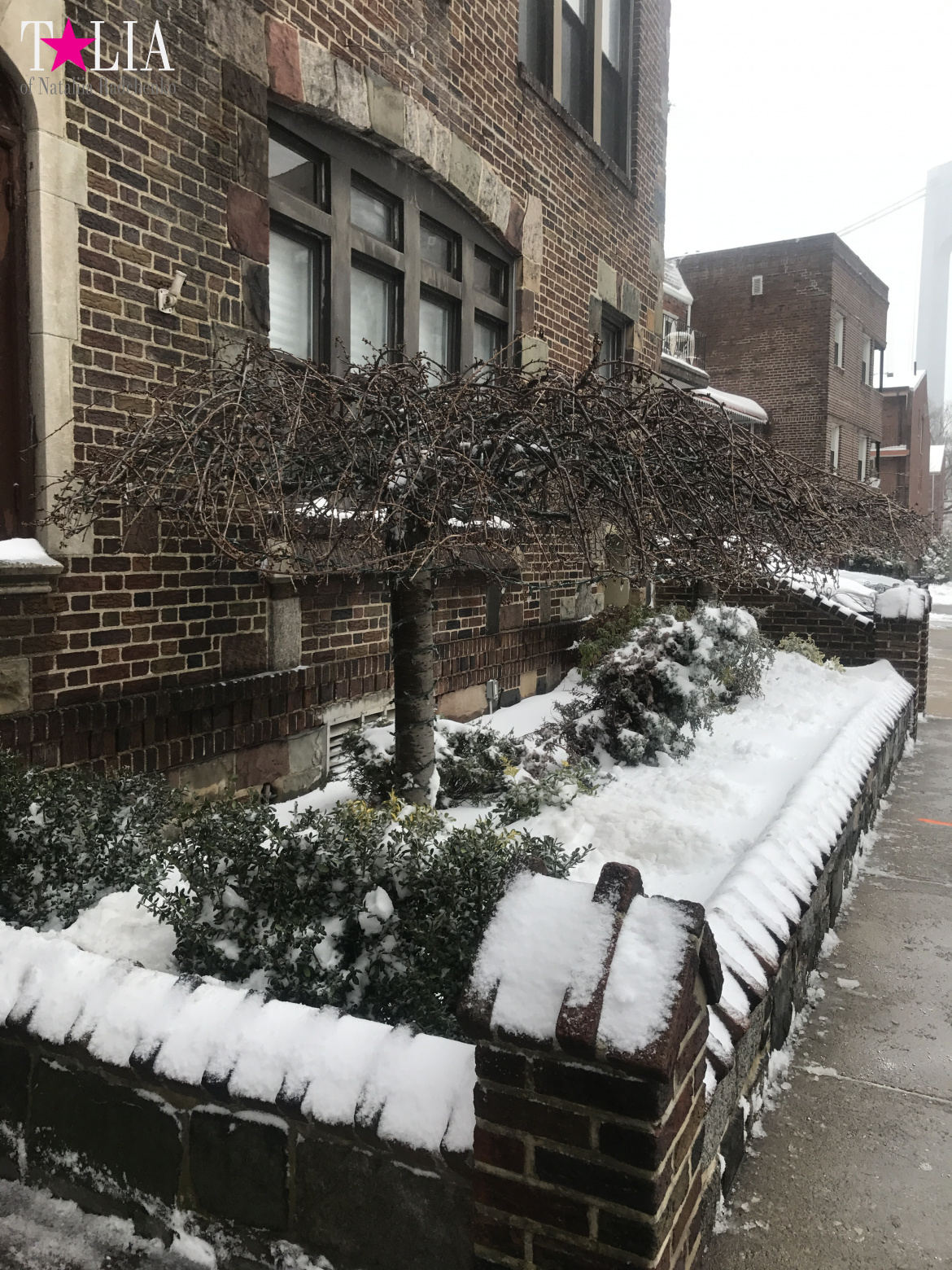 Snow Storm "Stella" on March 14, 2017 in New York